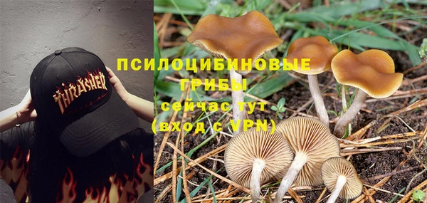 каннабис Мегион