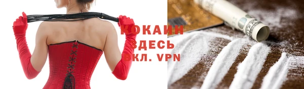 прущие грибы Медногорск