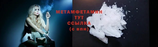 прущие грибы Медногорск