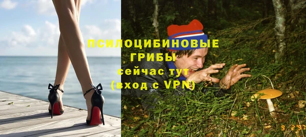 первитин Медвежьегорск