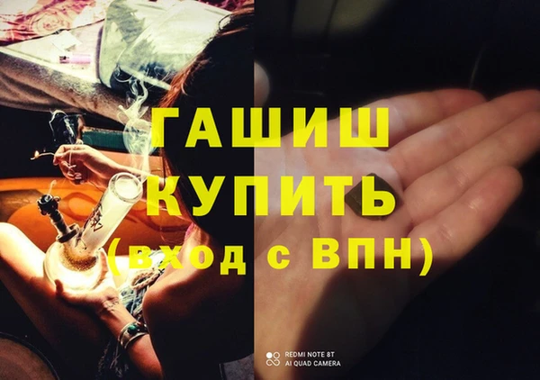 прущие грибы Медногорск