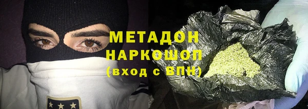 прущие грибы Медногорск