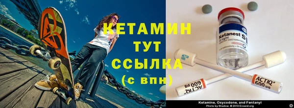 прущие грибы Медногорск