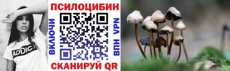 Псилоцибиновые грибы прущие грибы  Евпатория 
