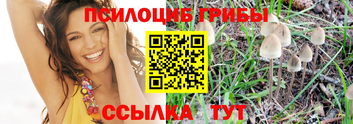 Евпатория  Псилоцибиновые грибы Magic Shrooms  Вход с VPN 